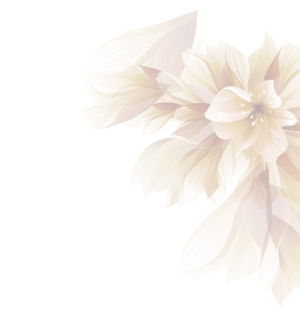 flower2 flower2